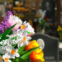 Пластиковые цветы на кладбище-опасность для здоровья и вред для природы